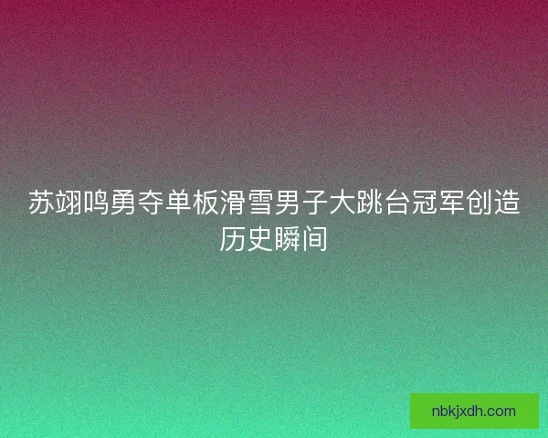 苏翊鸣勇夺单板滑雪男子大跳台冠军创造历史瞬间